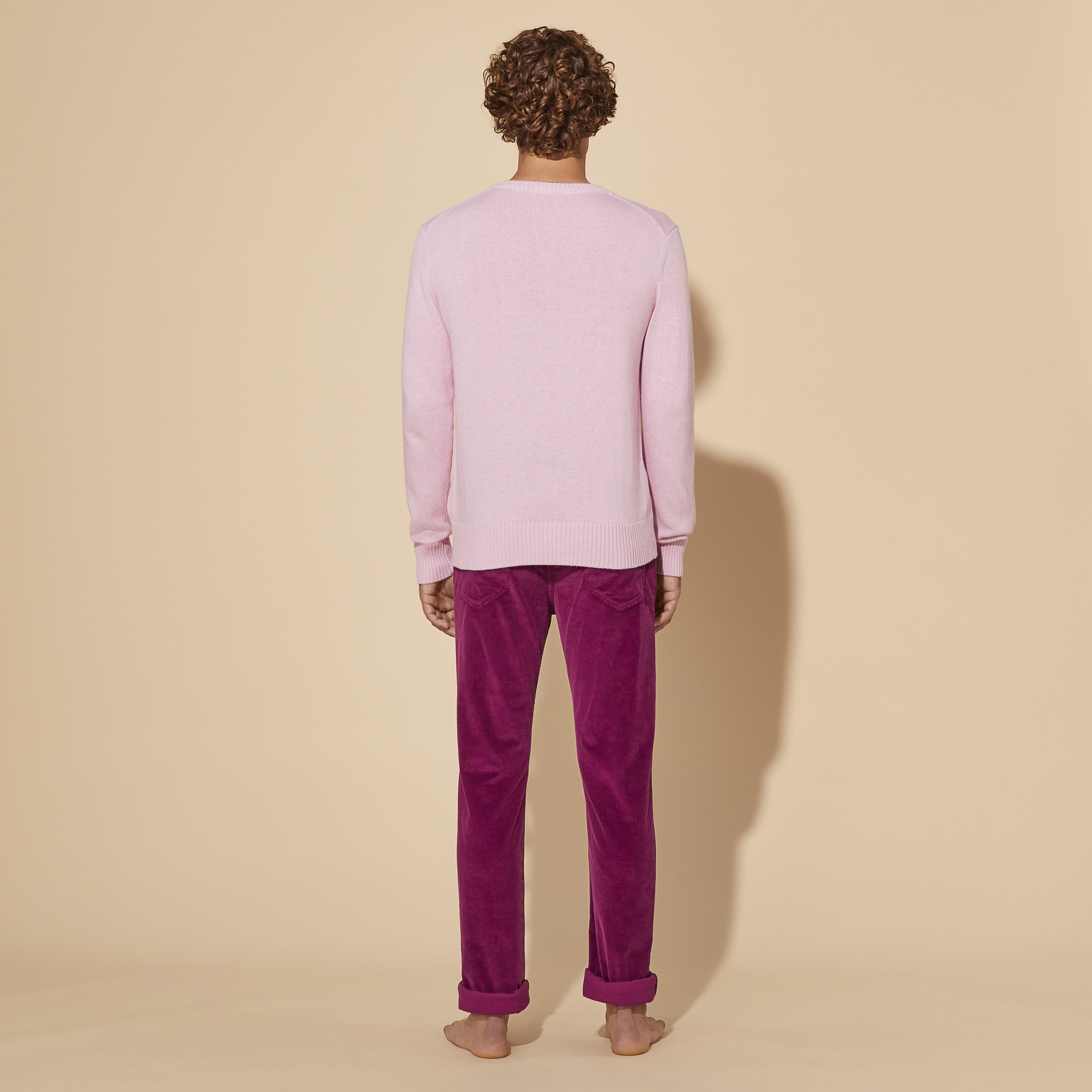 Pullover en Coton et Cachemire Ras-du-cou Homme Tortue