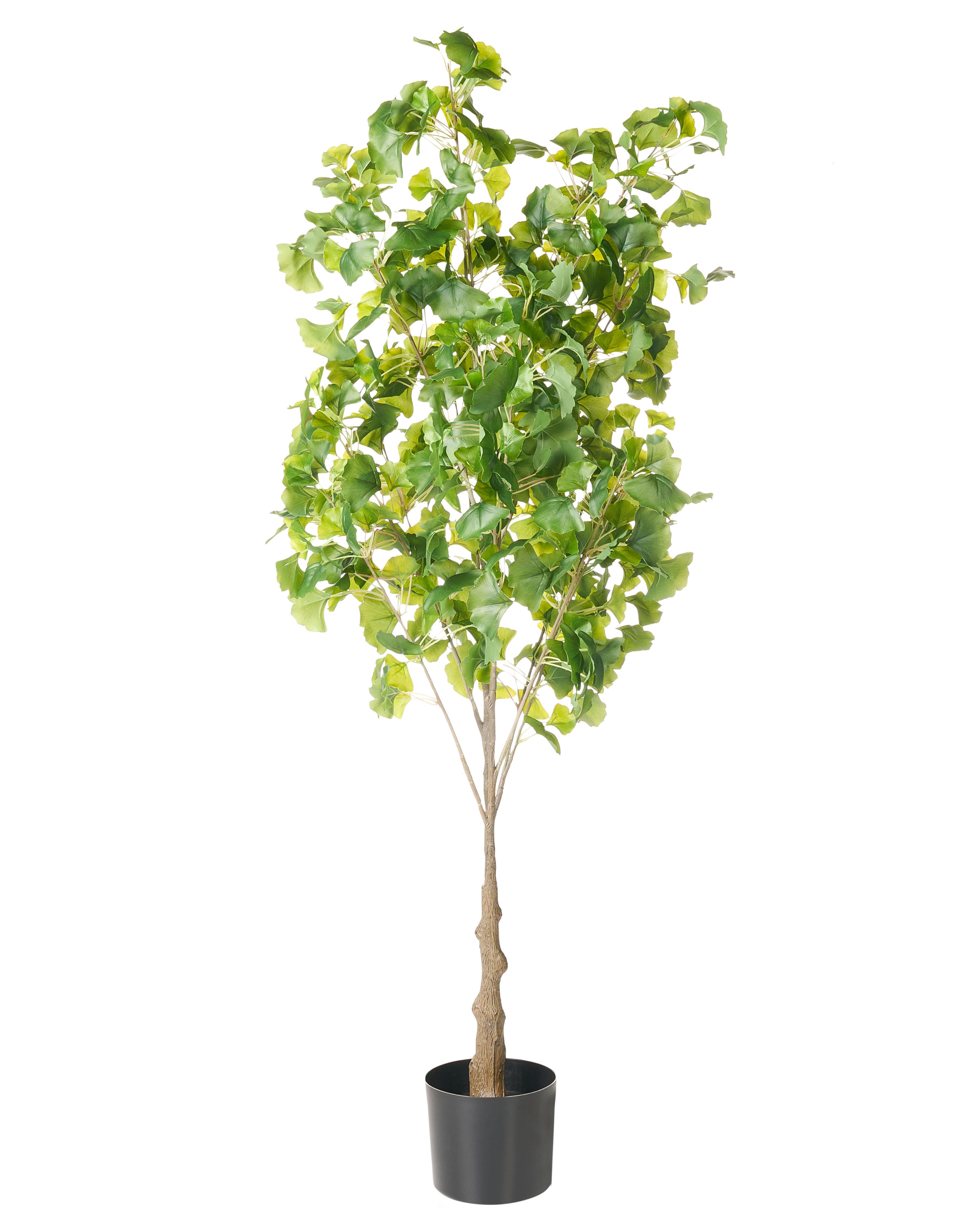Kunstplant GINKGO TREE 150 cm Groen