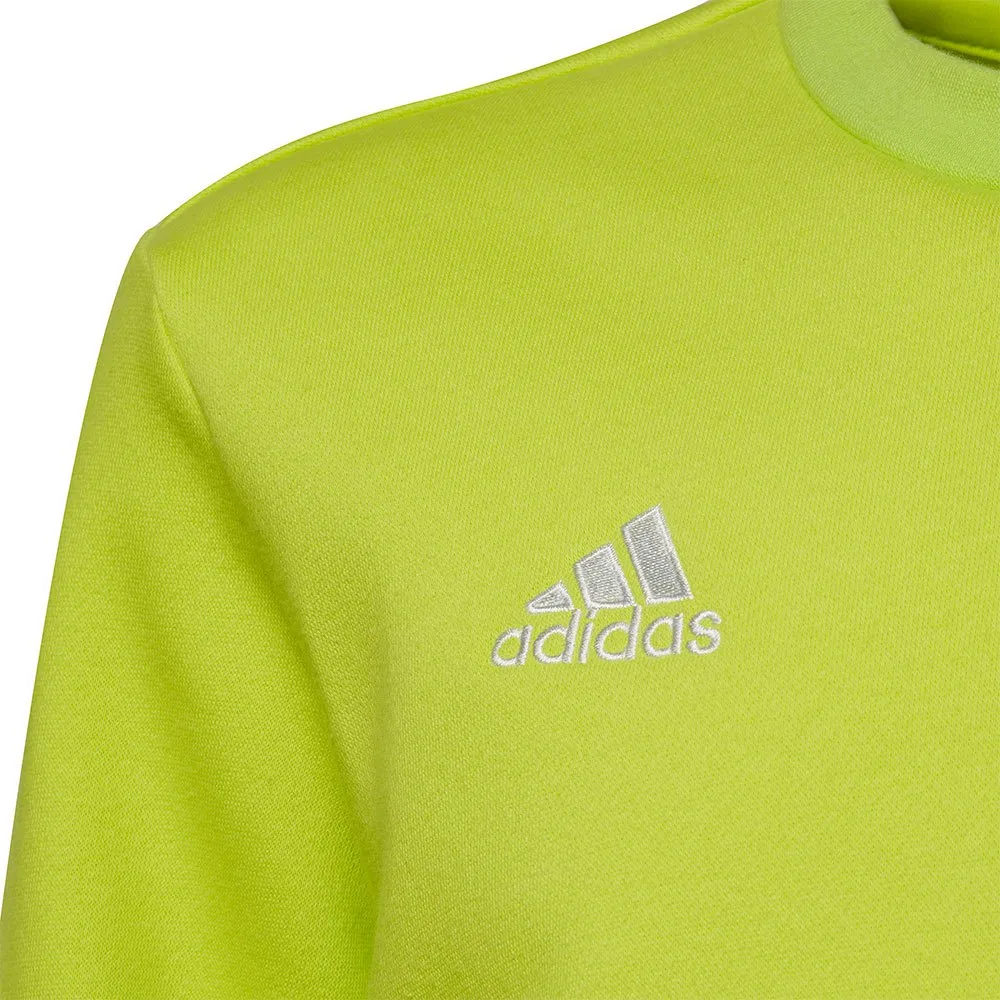 Moletom adidas Entrada 22 Stadium SW
