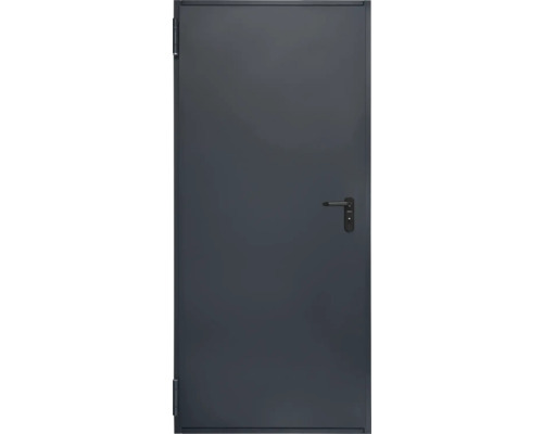 Hörmann multifunctionele kelderdeur T30 H8-5 RAL 7016 antracietgrijs 875x2000 mm omkeerbaar links/rechts