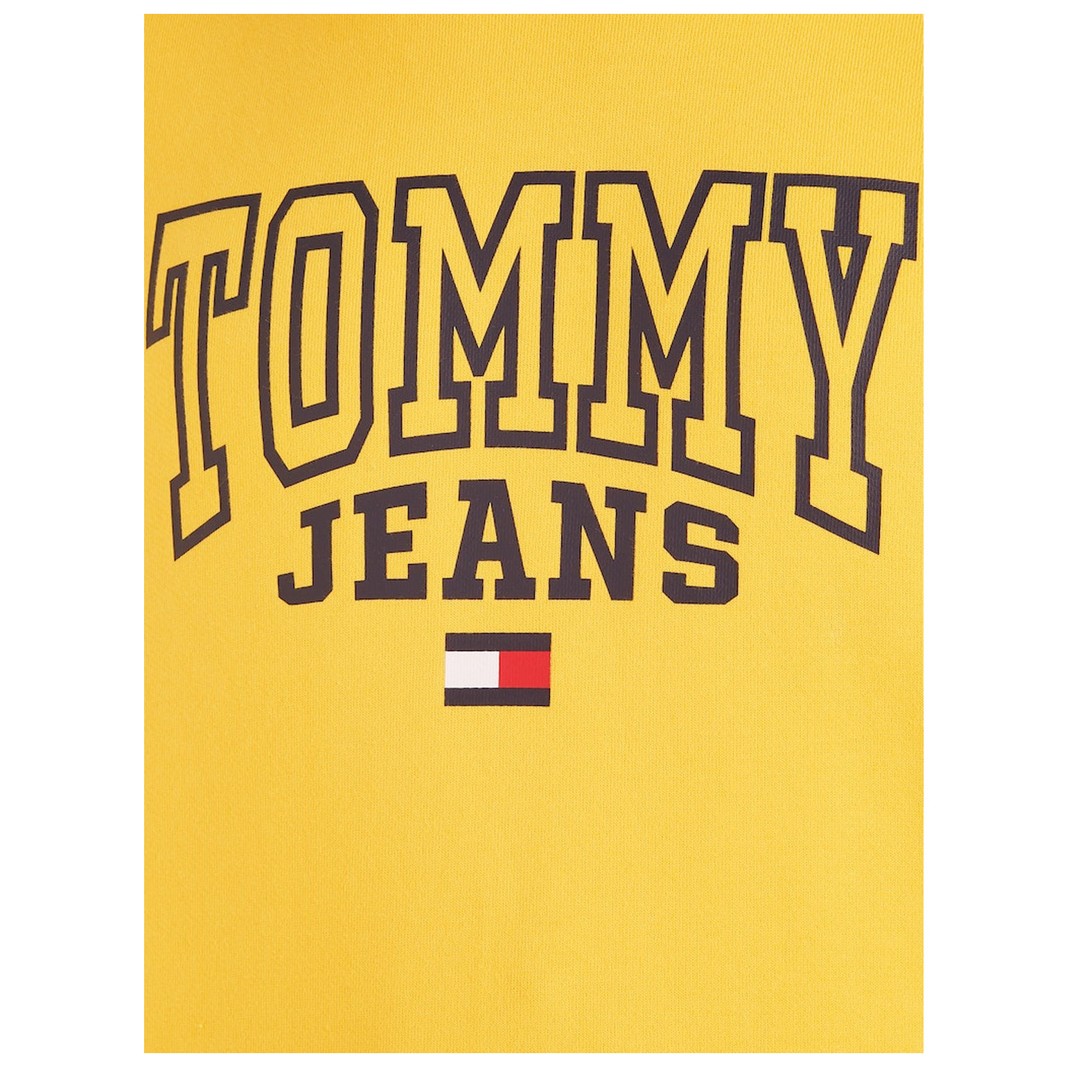 Tommy Jeans TJM REG ENTRY GRAPHIC HOODIE
