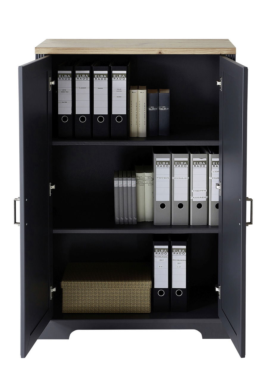 Landscape Aktenschrank niedrig JUDITH