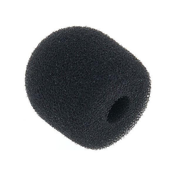 beyerdynamic WS10