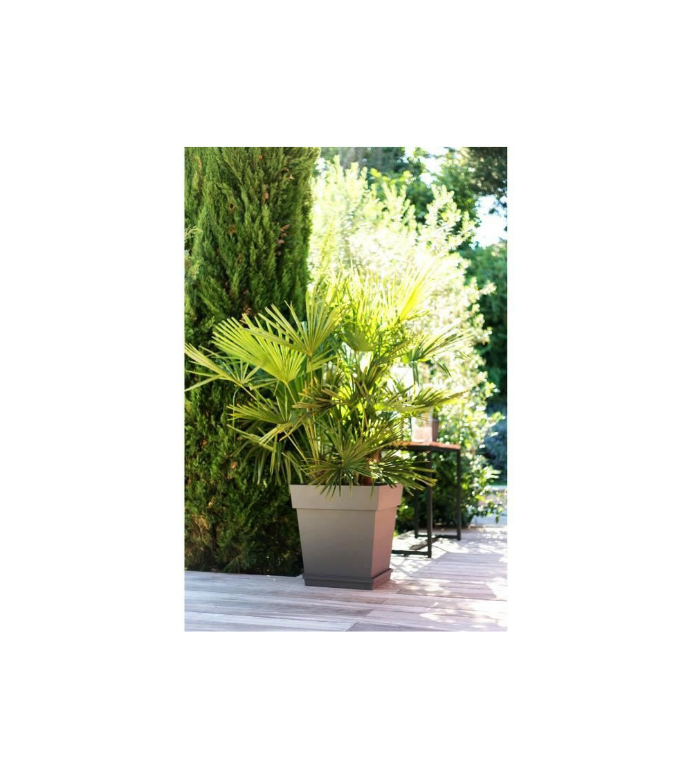 Pot de fleur carré toscane 49,5 x h.52,5 cm - taupe