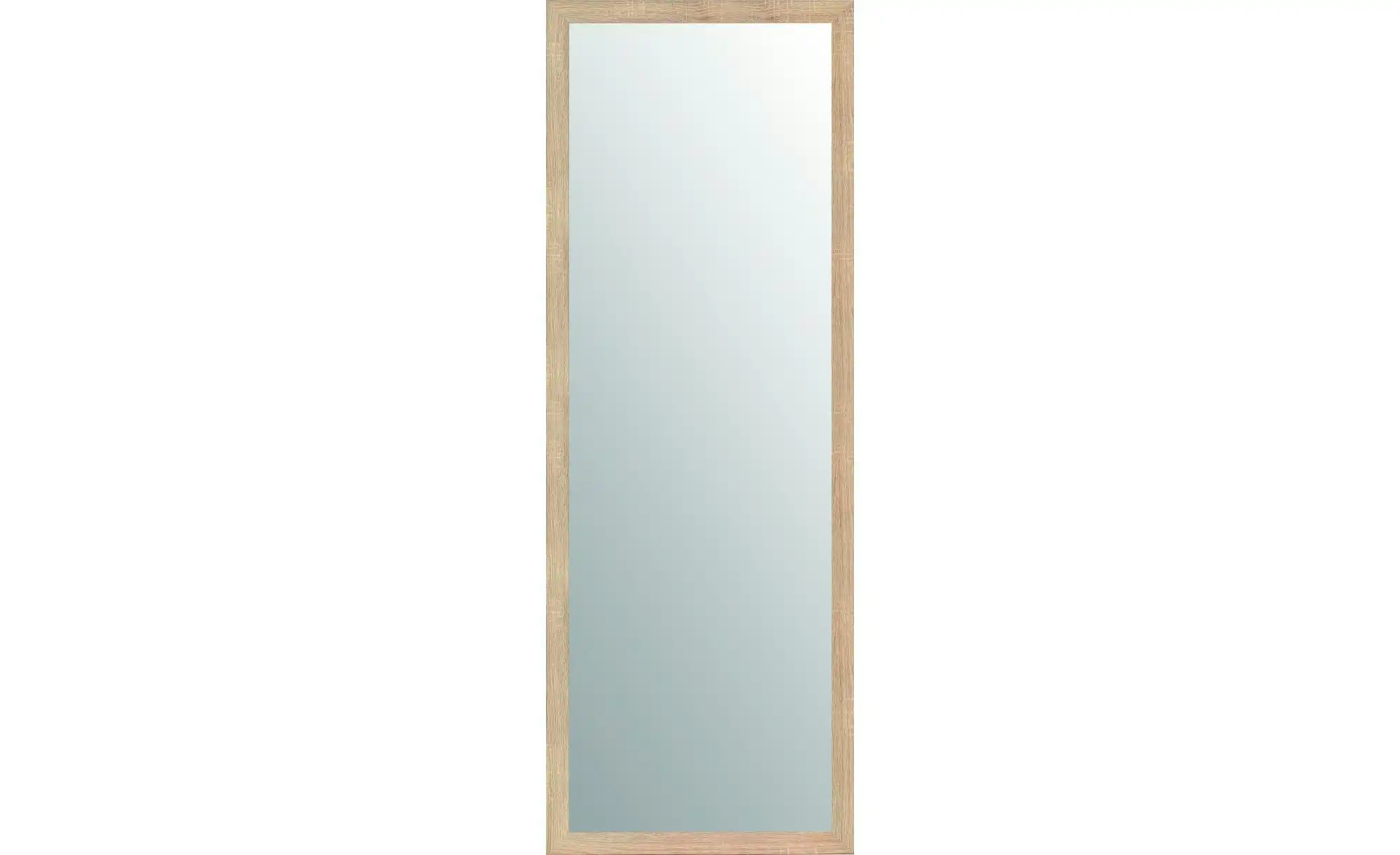 Spiegel 49 x 139 cm