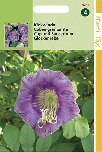 Hortitops Klokwinde - Bloemzaden