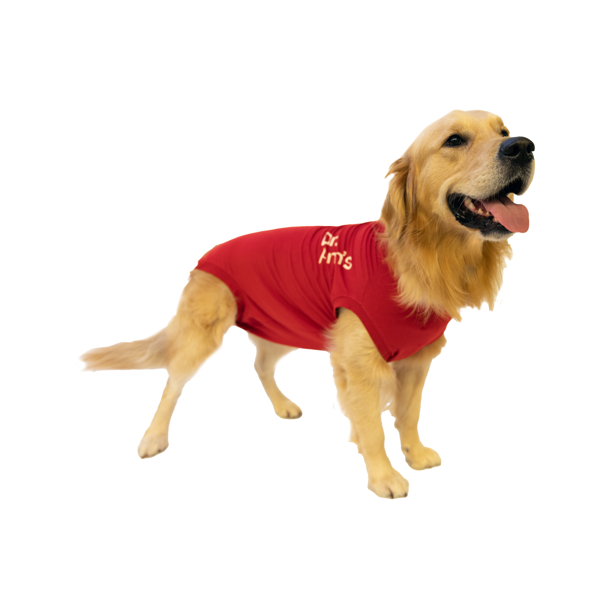 Dr. Ann's Protective Shirt Hond