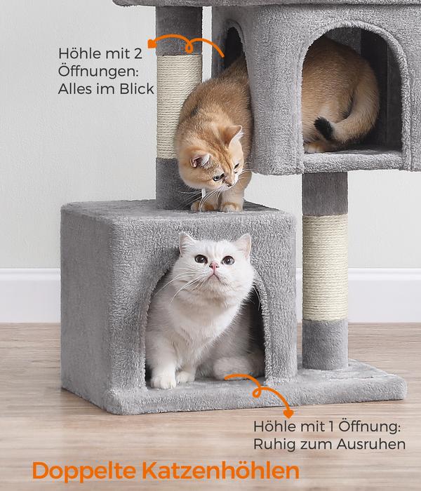 Feandrea Kratzbaum mit zwei Höhlen M, ca.