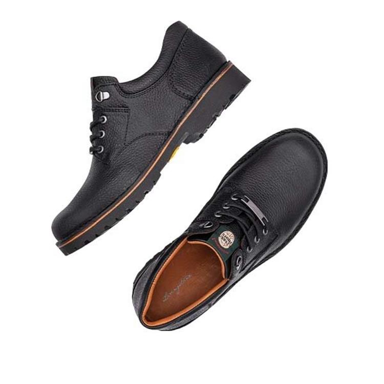 Livingstone 48051 z