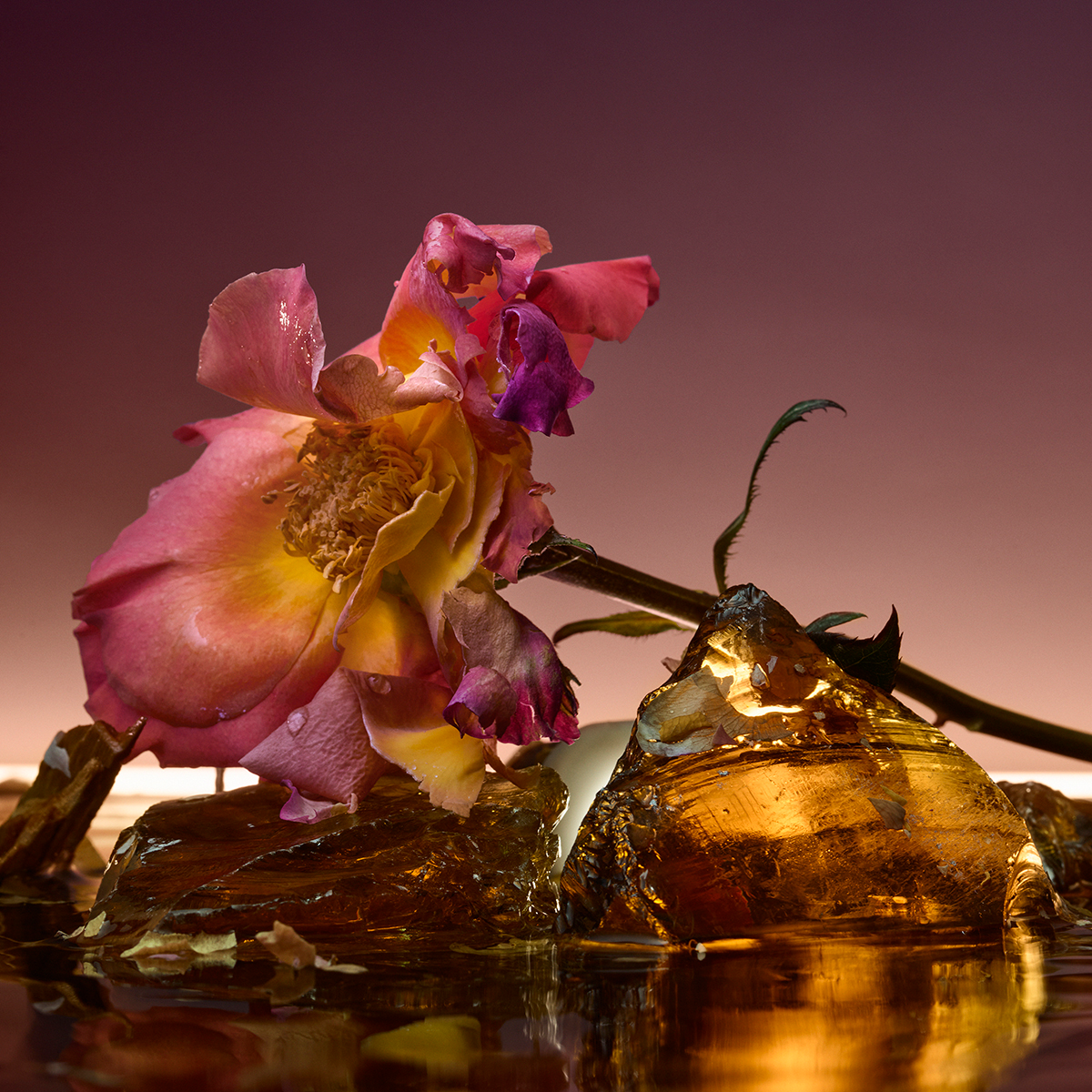 Rose Blaze Extrait de Parfum 90ml