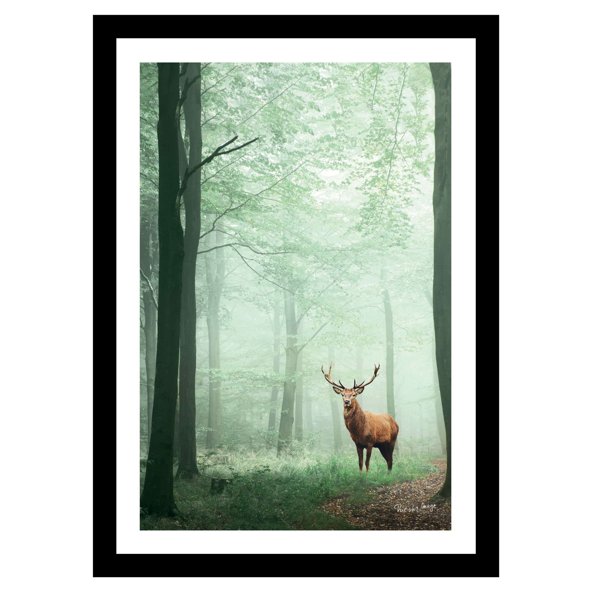 TABLEAU 25X35CM BAGUETTE NOIRE MAT CERF