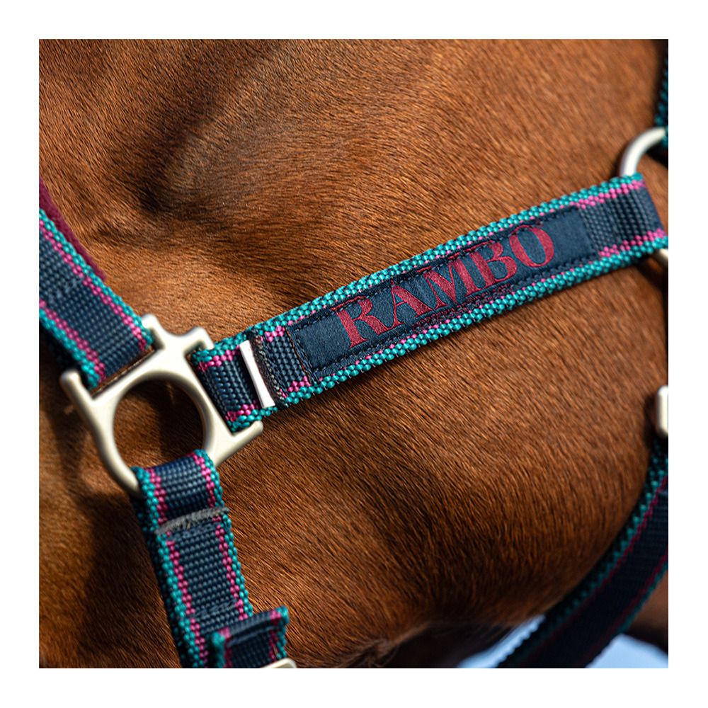 Horseware RAMBO PADDED - Licol burg/burg/teal&nvy
