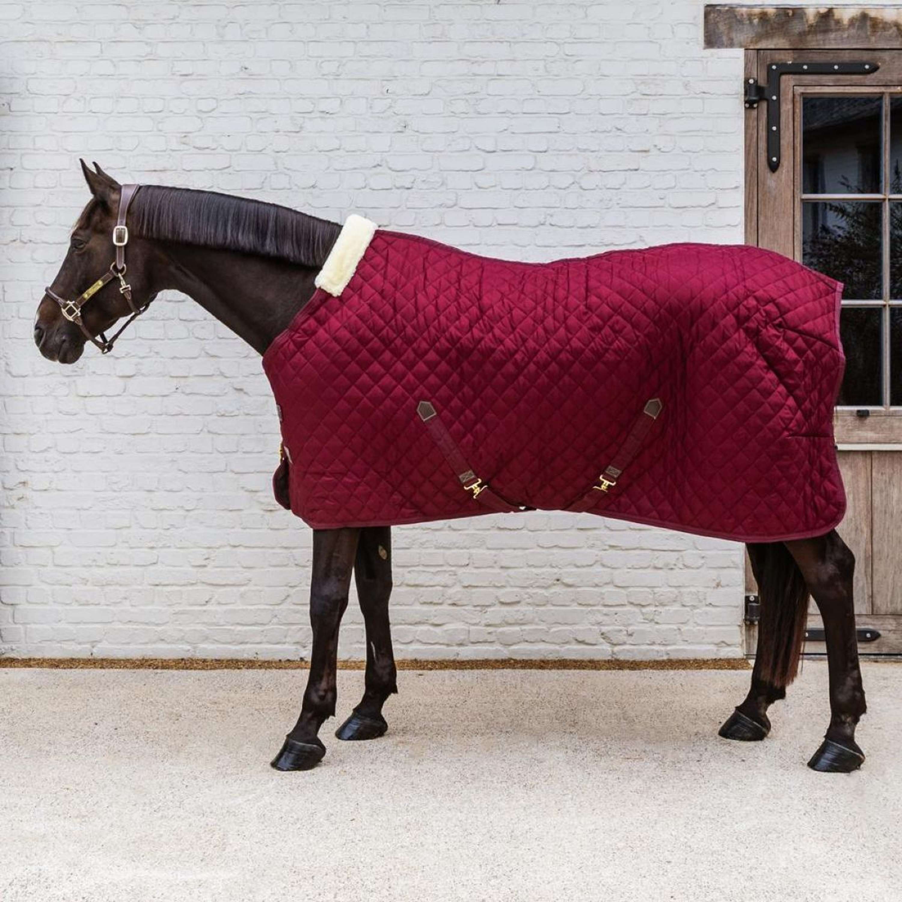 Kentucky Staldeken 400g Bordeaux