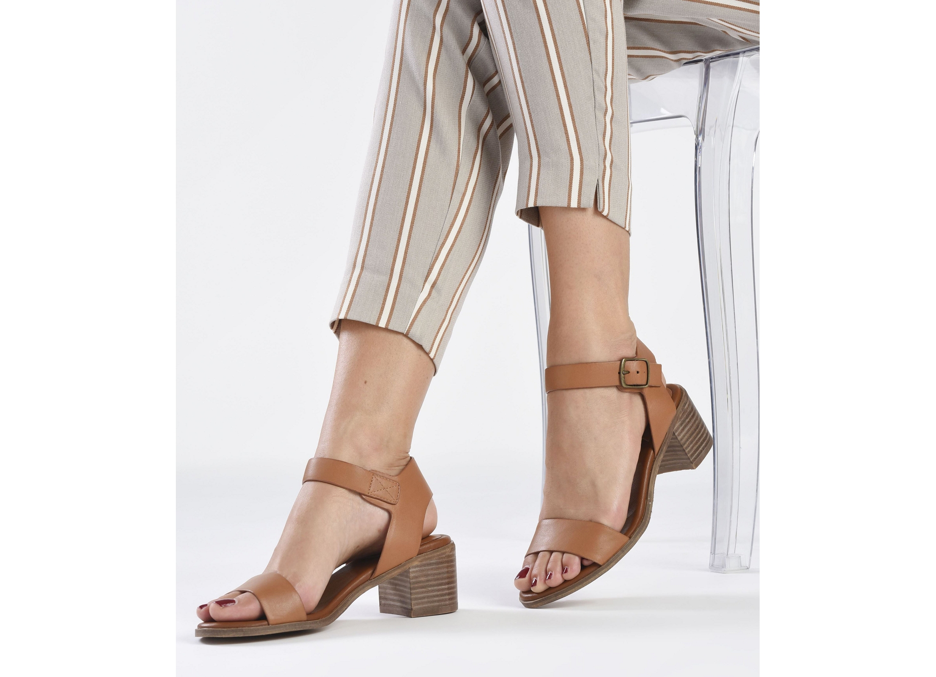 Volou camel