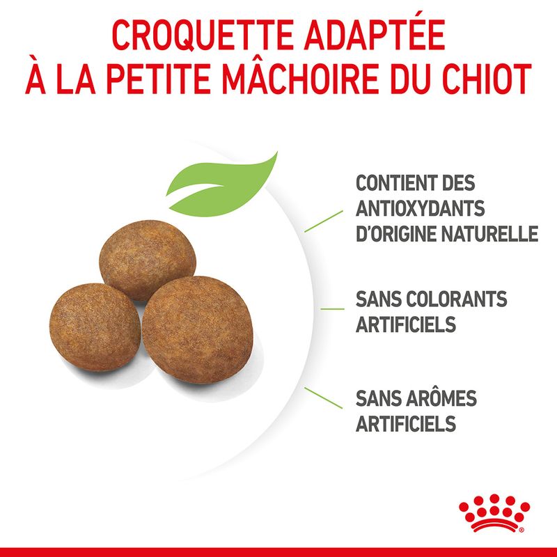 Royal Canin Maxi Puppy à prix discount sur bitiba.fr