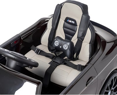 BMW M5 Elbil