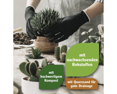 FloraSelf® Cactus- en vetplantengrond 5 l