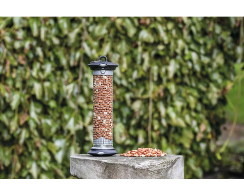 CJ Wildlife Premium Pindavoer voor Wilde Vogels, het Hele Jaar Door