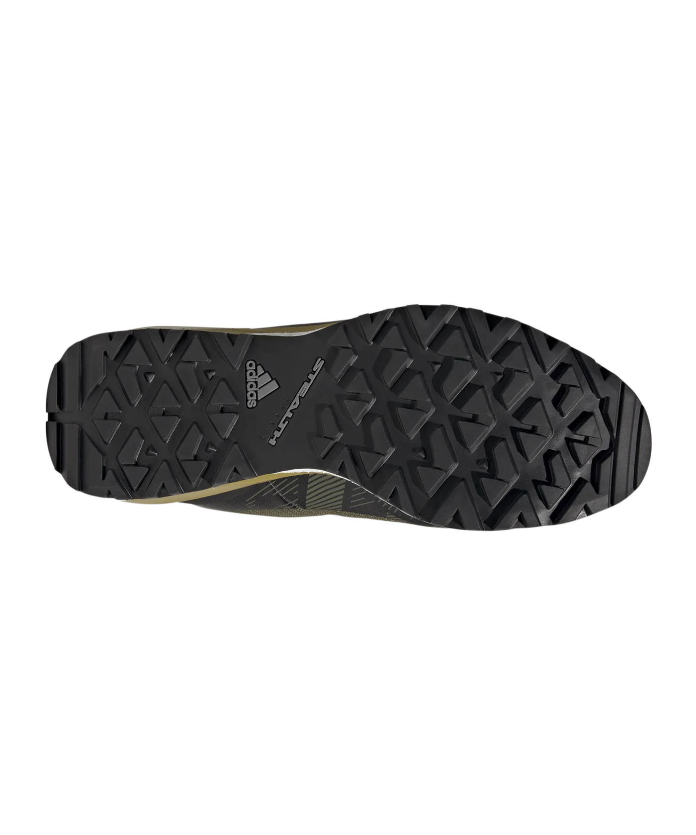 adidas Terrex Conrax BOA RAIN.RDY Hiking Grün