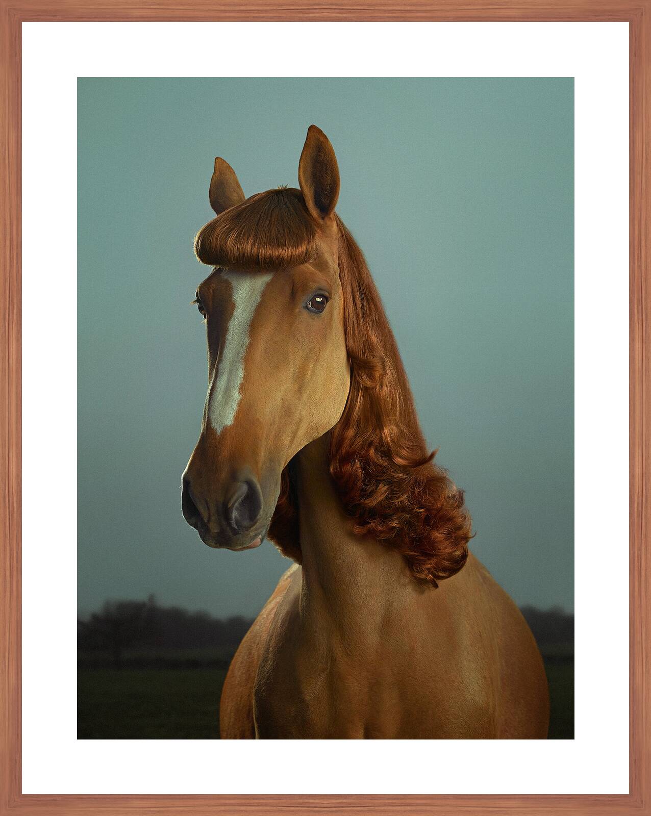 Florence by Julian Wolkenstein - Limited Edition. Edition of: 150. Signed.