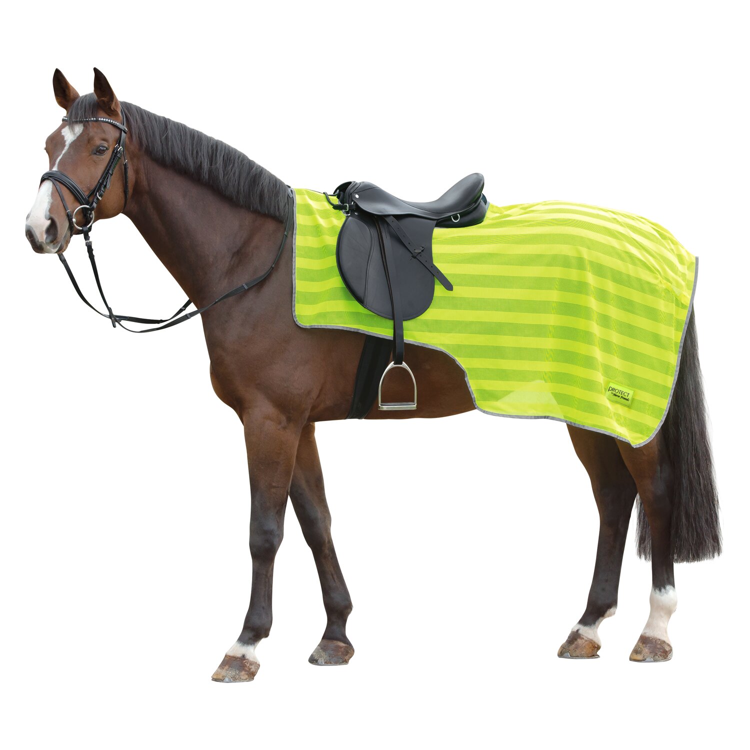 PROTECT by Horse-Friends Ausreitdecke - neongelb