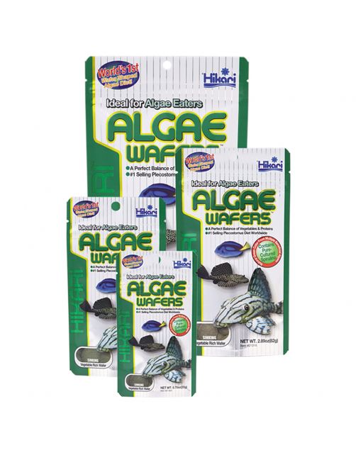Hikari Algae Wafers - Vissenvoer
