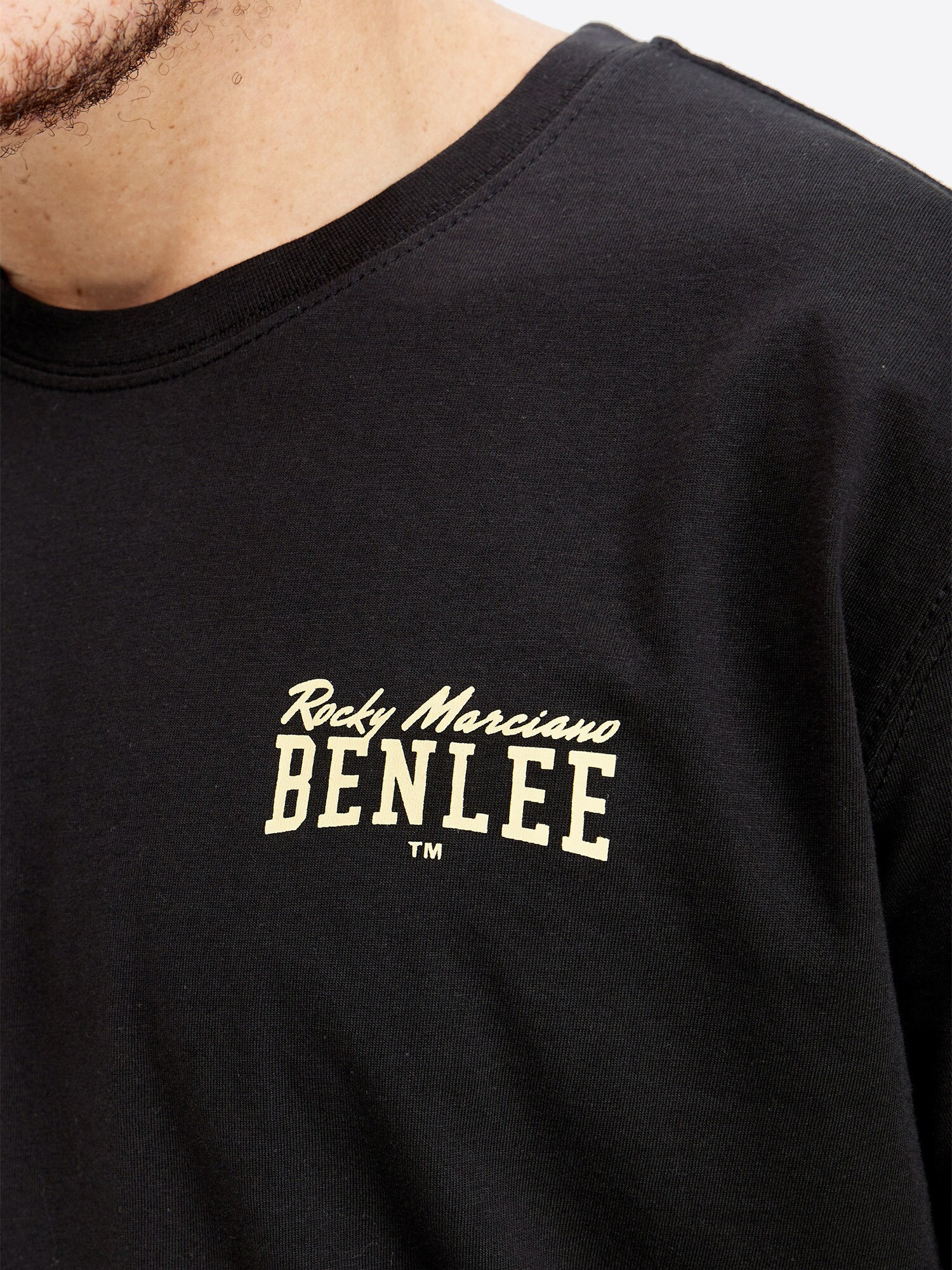 BENLEE Herren T-Shirt normale Passform LUKA