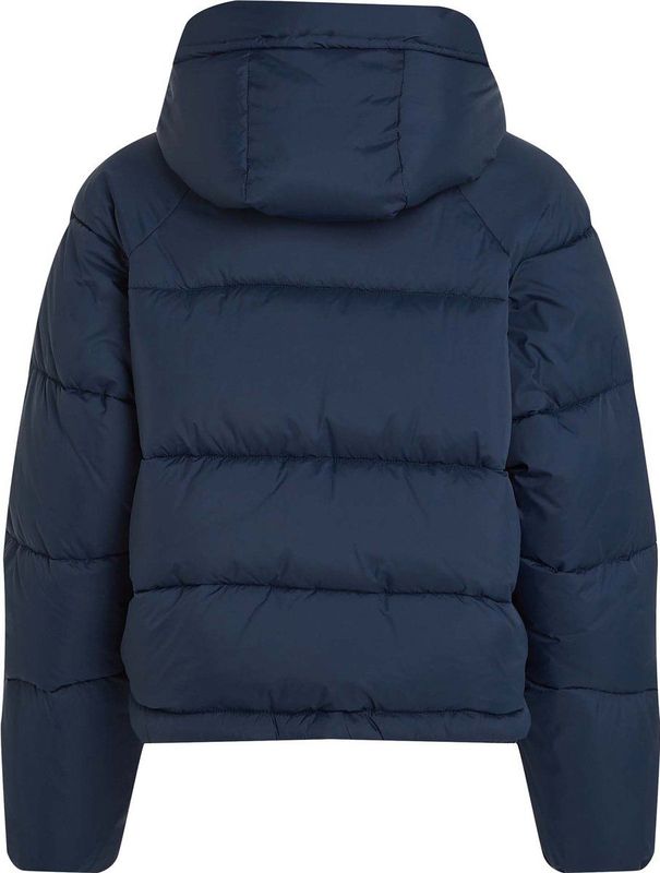 Tommy Jeans - TJW ASPEN PUFFER EXT DW0DW18841 - Puffer Jacket - Blauw
