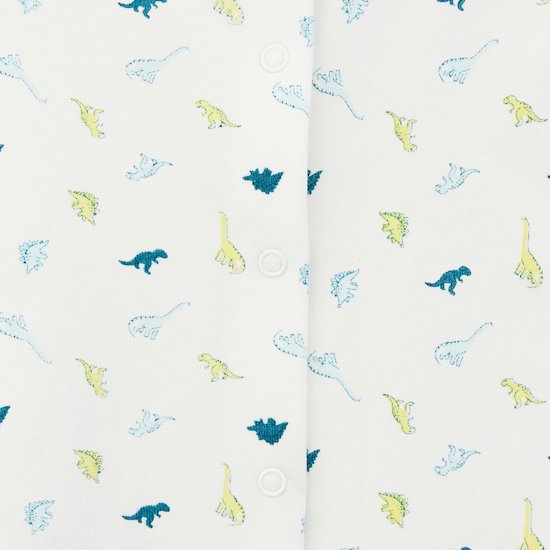 Pantalon + Haut Jardin Extraordinaire   Dino        de               P'tit bisou