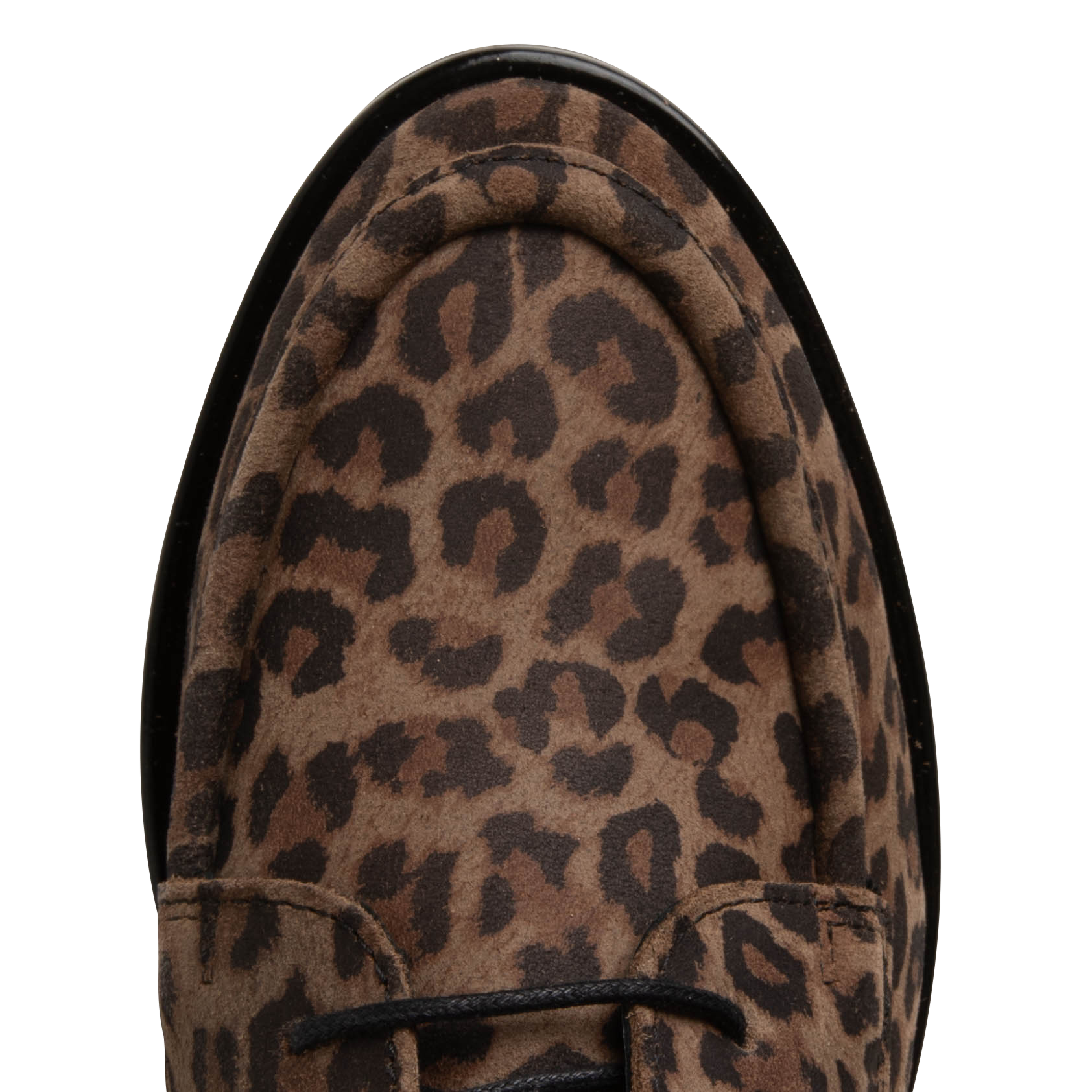 FIDELO - Bottines crantées à lacets en cuir imprimé léopard | Beige