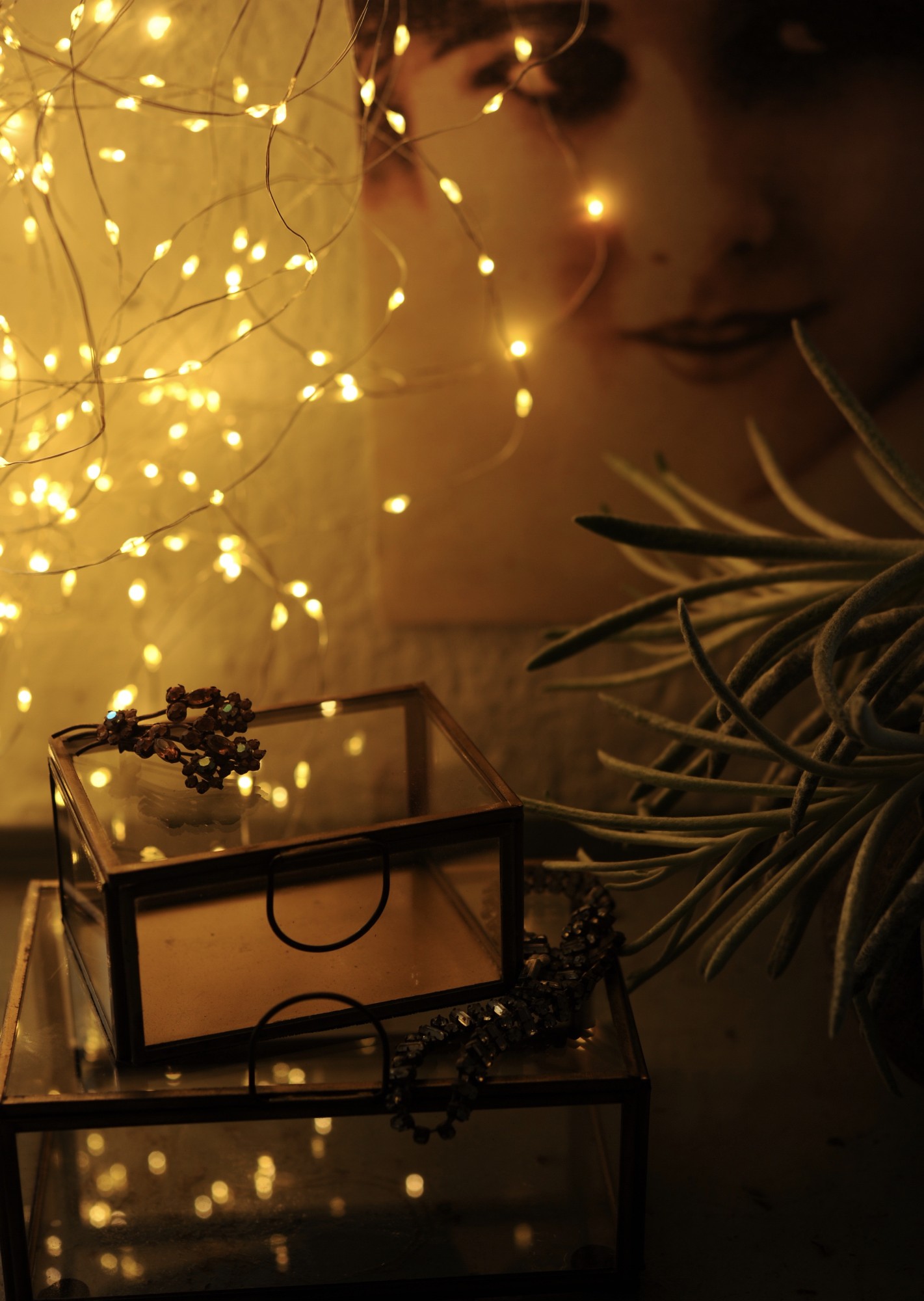 Indoor & Outdoor Lichterschnur 'Lumois', 125 LED, 13 Strippen, 100 cm von fischer's lagerhaus