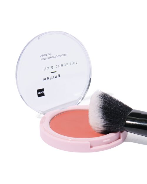 lip & cheek teinte 02