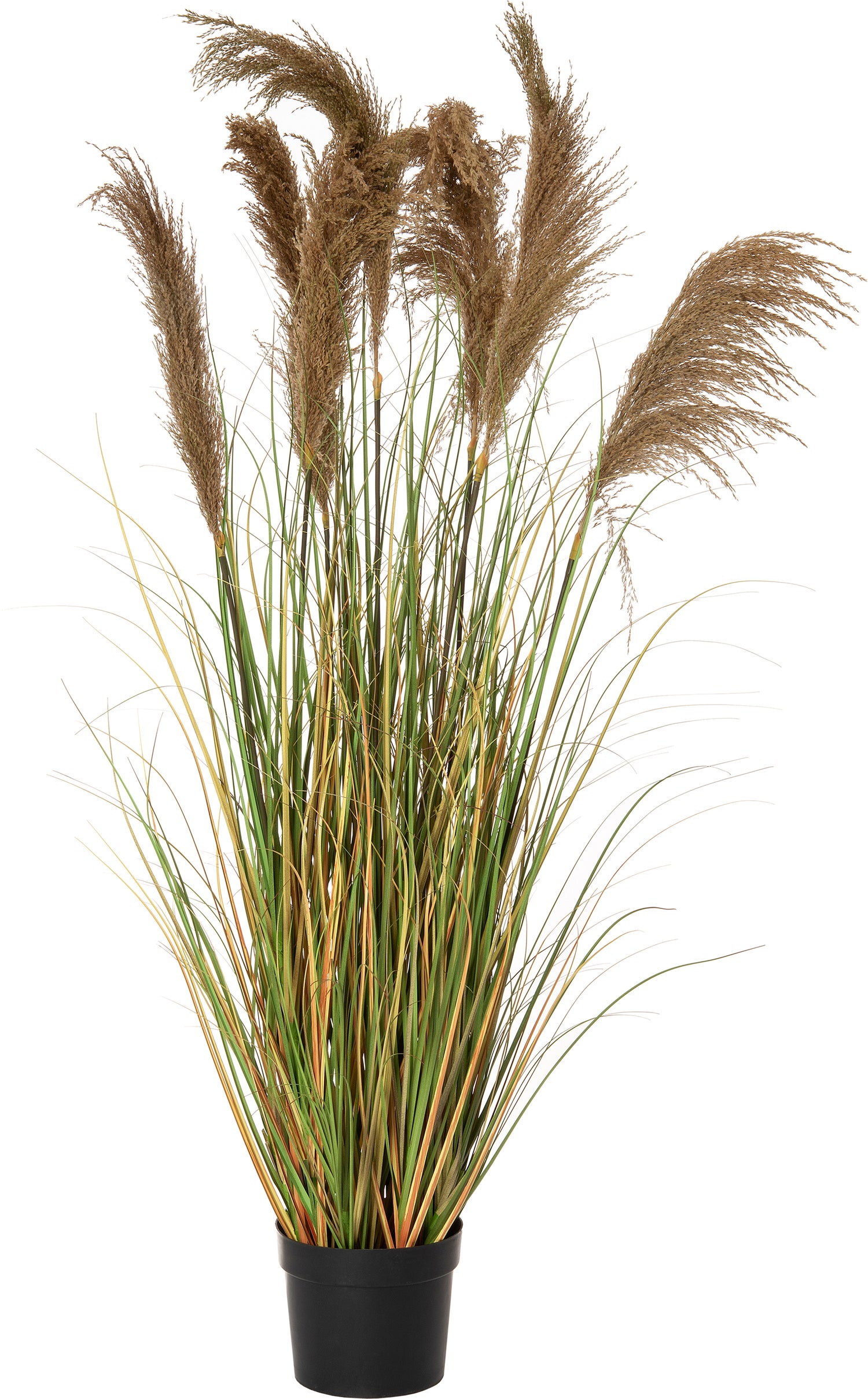 Intratuin kunstplant Chineesriet D 65 H 165 cm