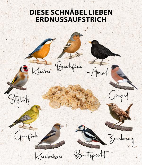 Dehner Natura Premium Wildvogelfutter