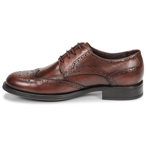 Carlington - LOUVIAN - Marron