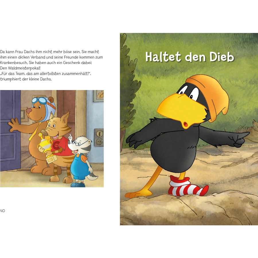 Thienemann Der kleine Rabe Socke: Ritter Sockenherz