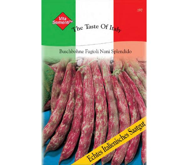 Thompson & Morgan Samen Buschbohne 'Fagioli