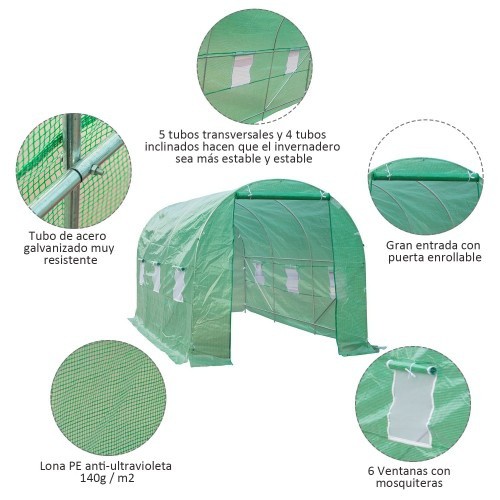 Jardim Verde Ensolarado Cultivando Verde