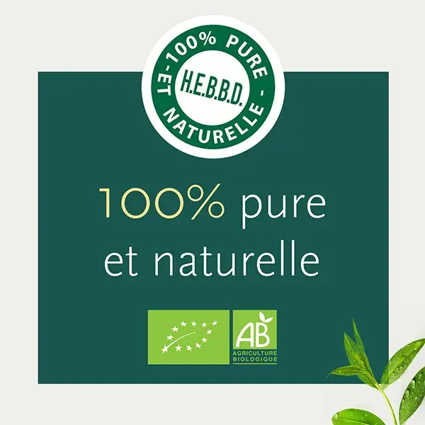 Óleo Essencial de Hortelã-Pimenta Orgânico Phytosun Arôms 10ml
