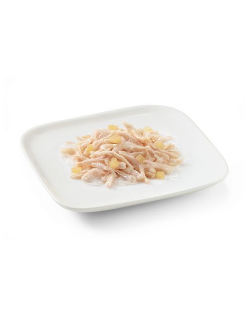 Schesir Hond Blik Gelei 150 g - Hondenvoer