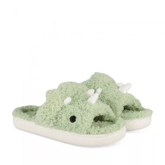 Chaussons VERT TAMS