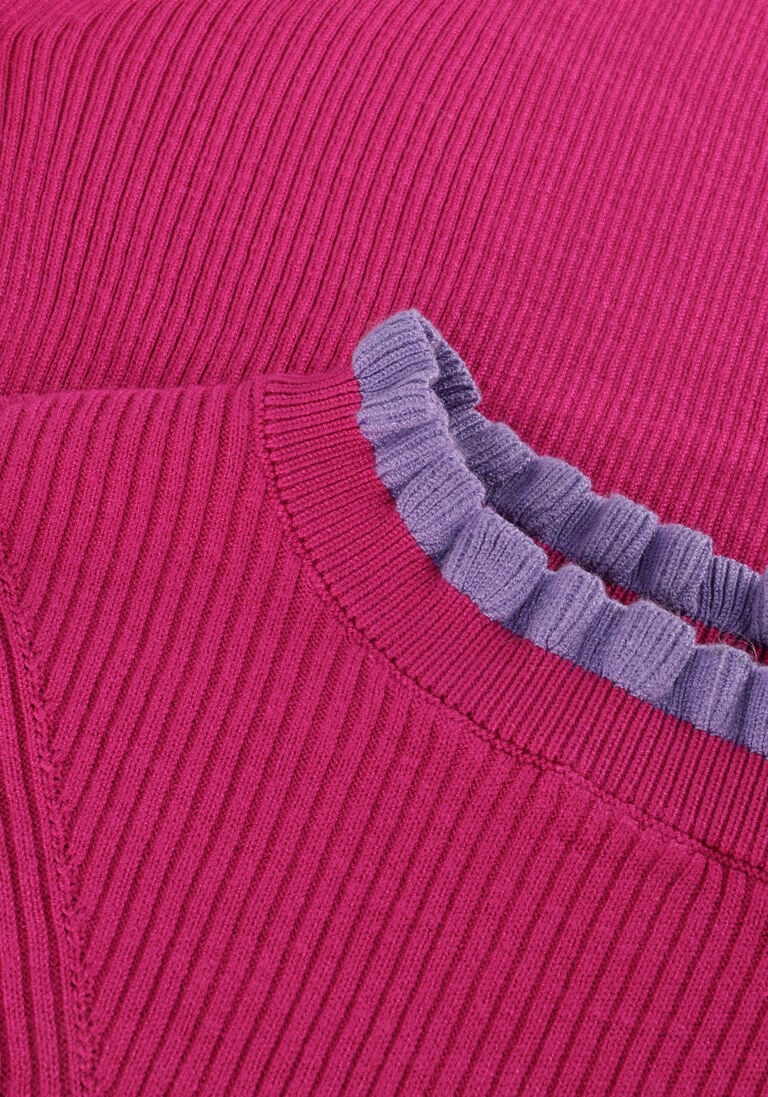 POM AMSTERDAM roze pom amsterdam trui fiery pink