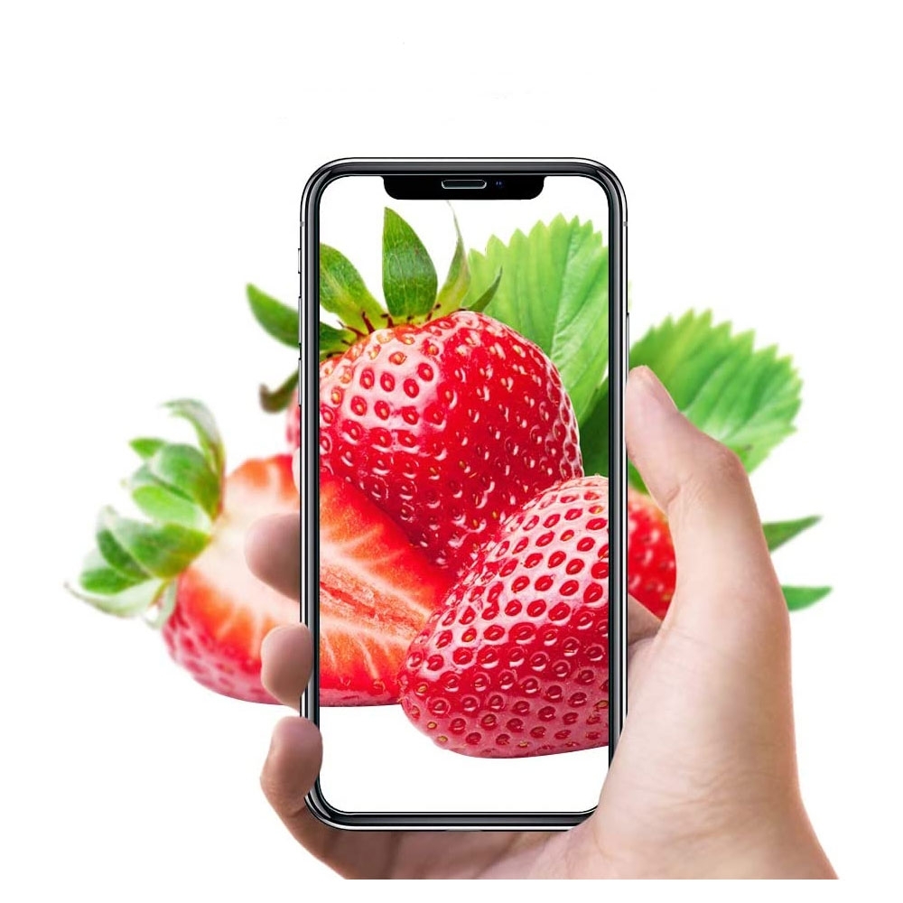 (2er Set) iPhone 11 / iPhone Xr Panzer Glas Display   Montagerahmen Case Friendly