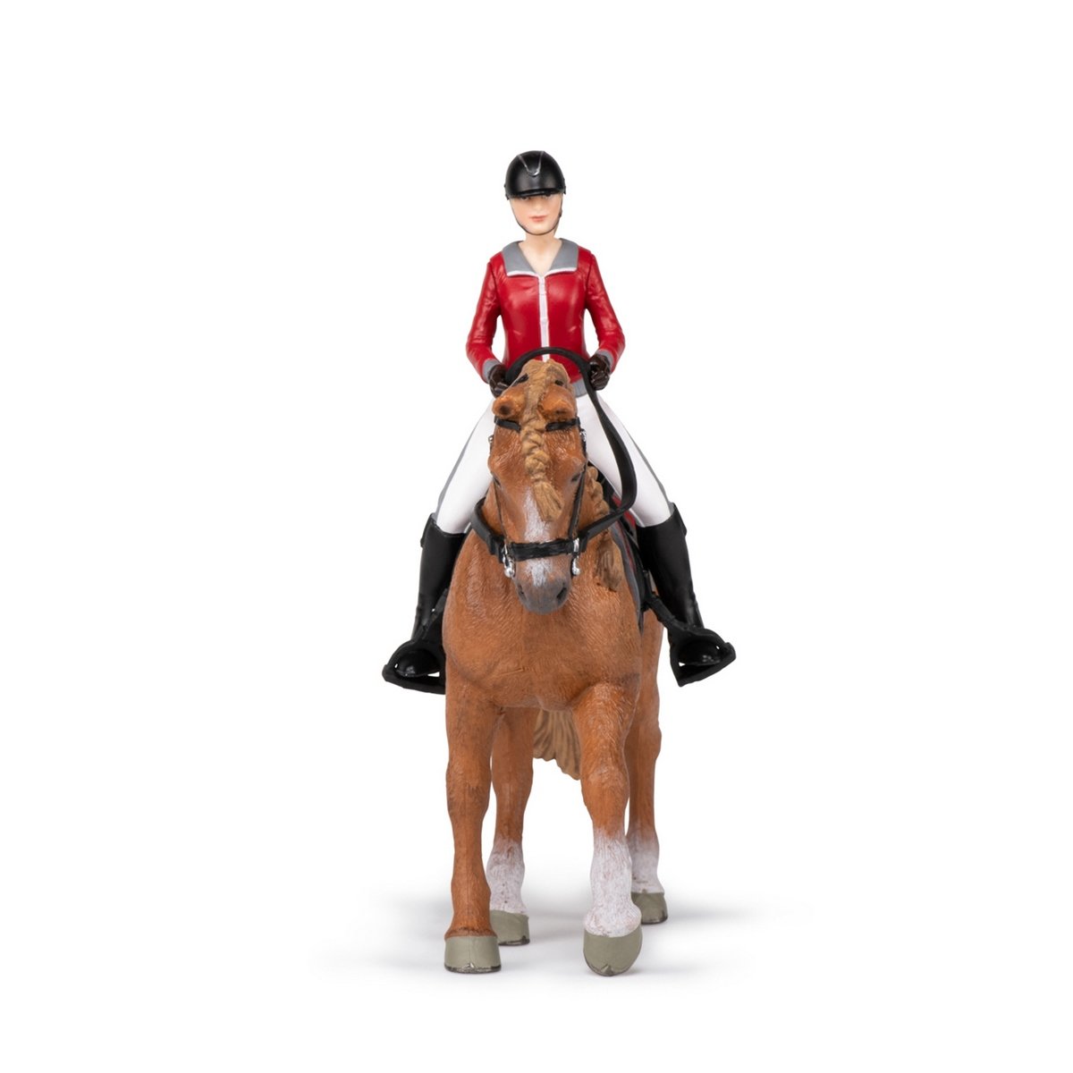 Cheval de promenade et sa cavalière