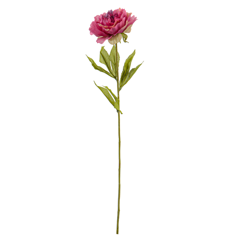 Bouquet de pivoines