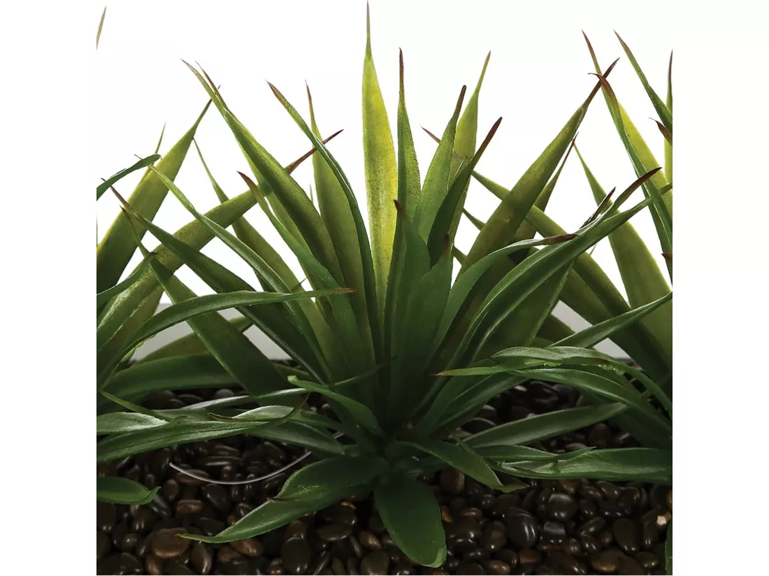 Centre de table - 3 aloe vera - l.35 x p.14,8 x h.17, vert