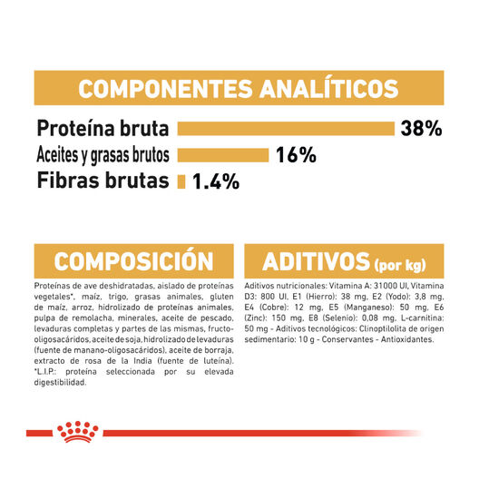 Ração Royal Canin para gatos siameses adultos