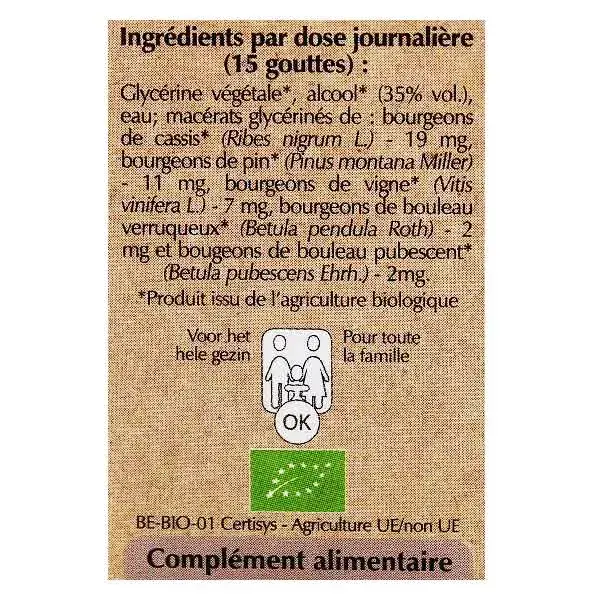 Herbalgem Artigem Complexo de Gemoterapia Bio Articular 30ml