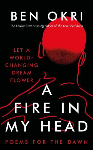 A Fire in My Head (Paperback)