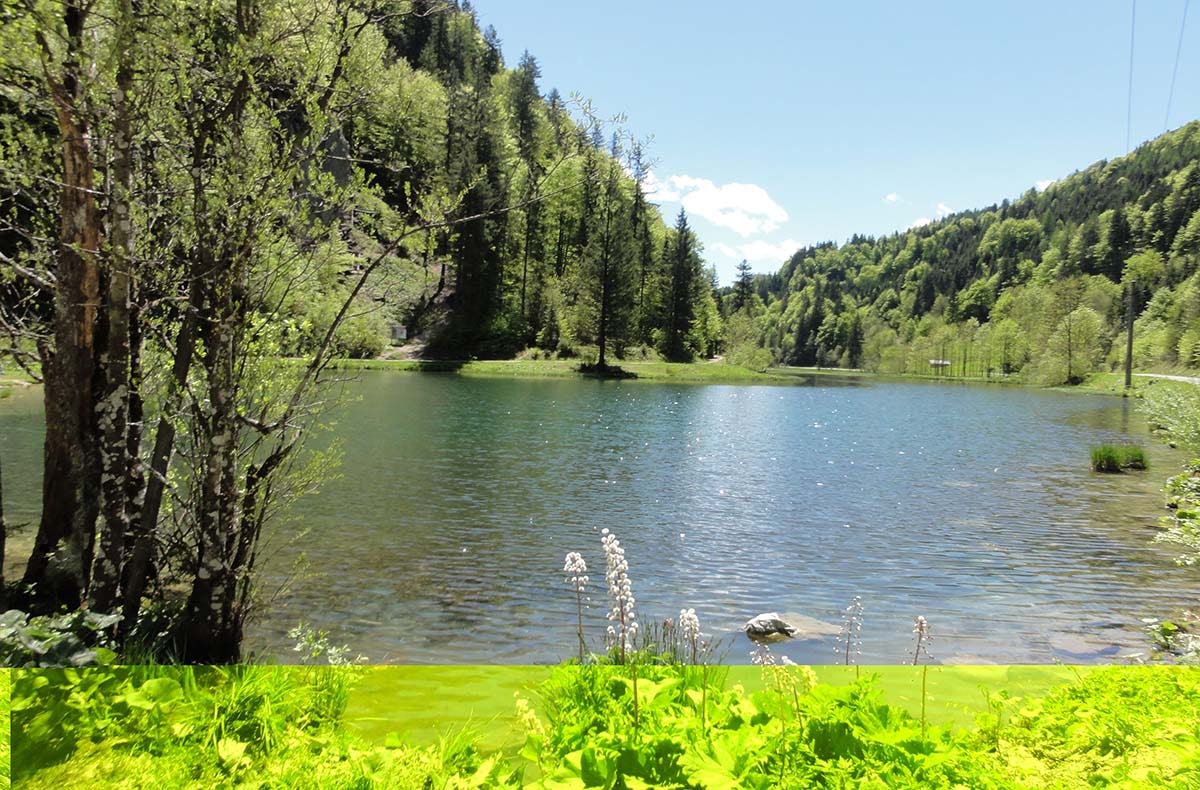 Wanderurlaub Jakobskreuz-Pillerseetal für 2 (2 Nächte)